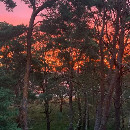 Appartement Lebensart - App 5 Oie